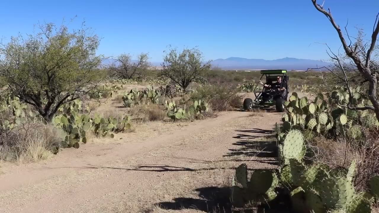The finished buggy driving down a desert trail lined with cactus