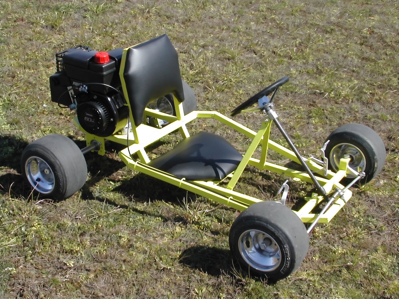 Recluse, full side profile on grass