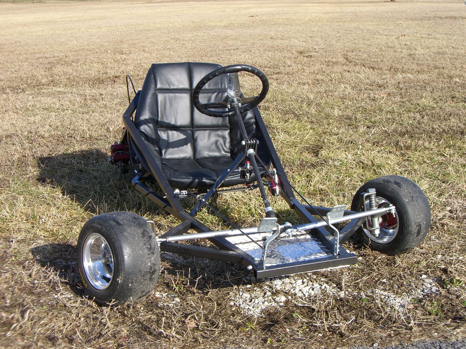 Scorpion, head-on front view